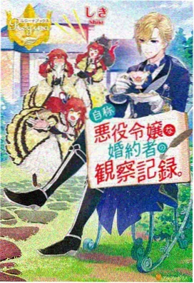 折光师 海报